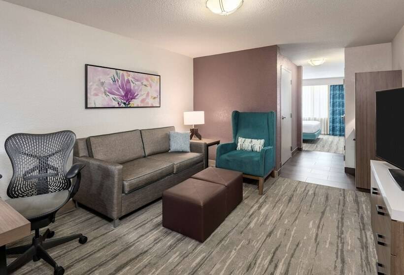 סוויטה, Hilton Garden Inn Lafayette/cajundome
