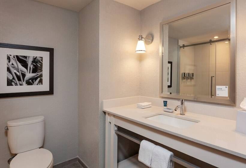 اتاق لوکس با چشم‌انداز استخر, Four Points By Sheraton Caguas Real