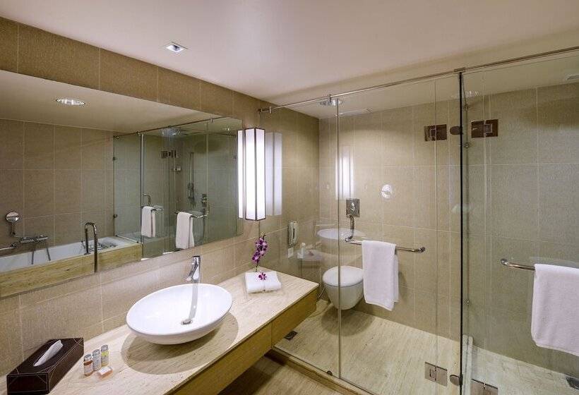 جناح إدارى, Svelte Delhi, A Member Of Radisson Individuals