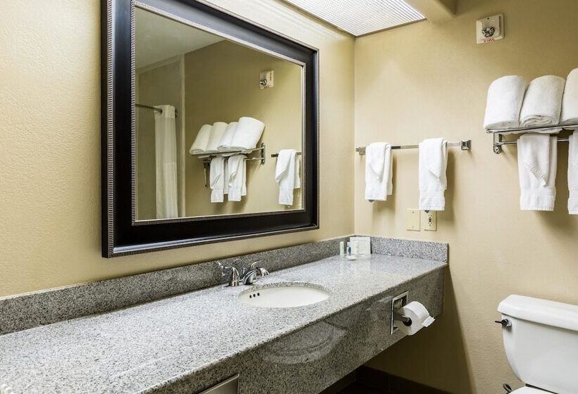 Suite, Comfort Suites Westchase Houston Energy Corridor