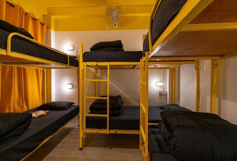 공동 객실, Jungle Hostel By Whoopers