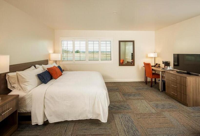 스탠다드 룸 킹사이즈 침대, Inn At Moss Landing Point