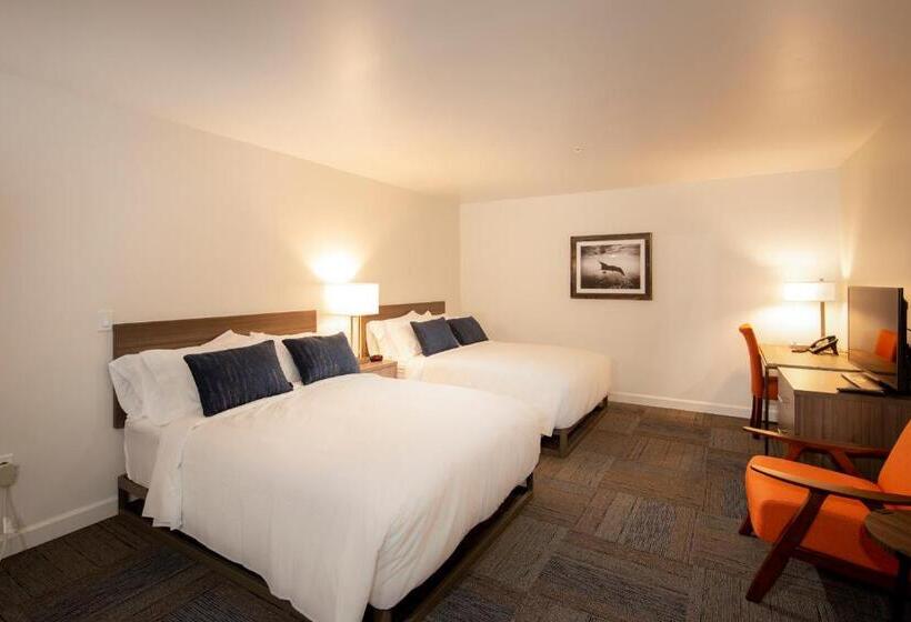 장애인을 위한 스탠다드 룸, Inn At Moss Landing Point