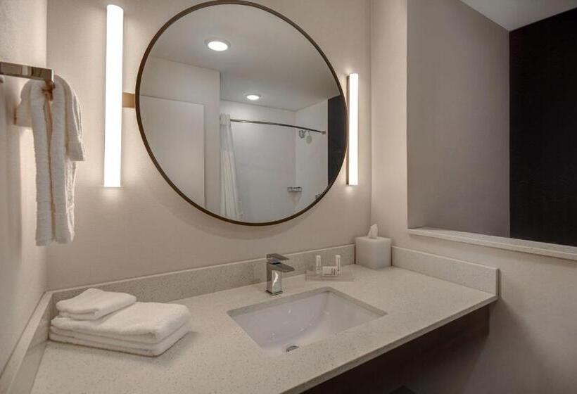 Номер Стандарт, Fairfield By Marriott Inn & Suites Grand Rapids Wyoming