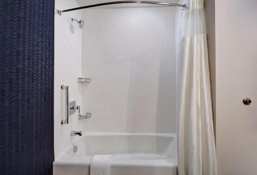 Люкс, Fairfield By Marriott Inn & Suites Grand Rapids Wyoming