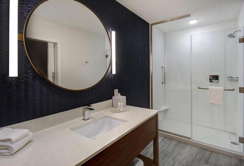 Номер Стандарт Кровать Кинг Адаптированный для Инвалидов, Fairfield By Marriott Inn & Suites Grand Rapids Wyoming