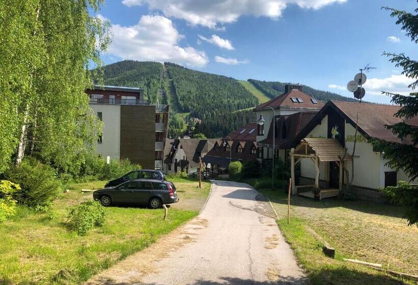 Люкс Дюплекс, Pension Mona