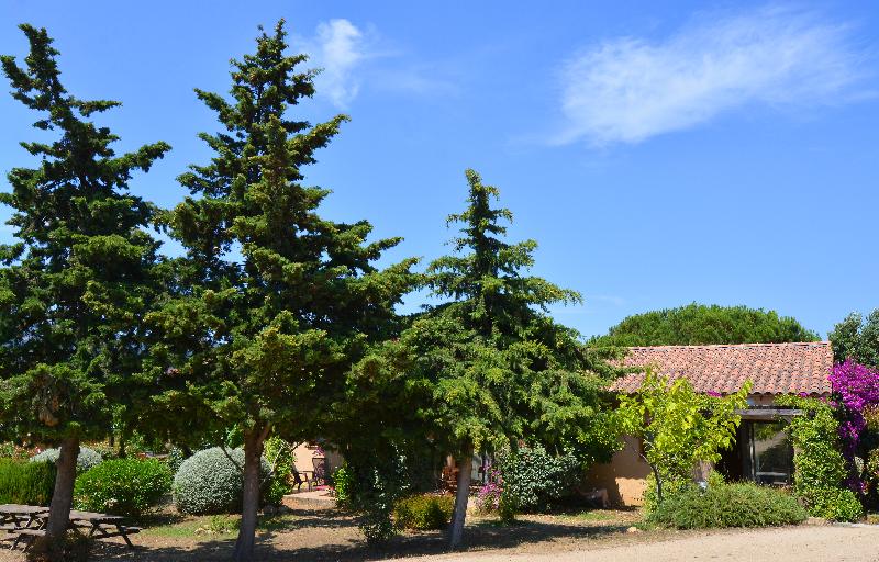 ویلای 1 خوابه با چشم‌انداز باغ, Residence Alba Rossa