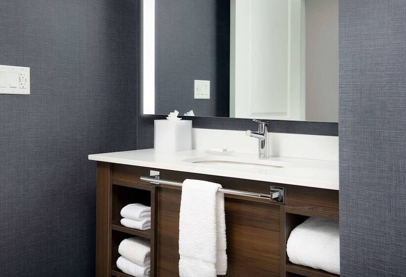 استودیو استاندارد با چشم‌انداز باغ, Residence Inn Doral Mall Area