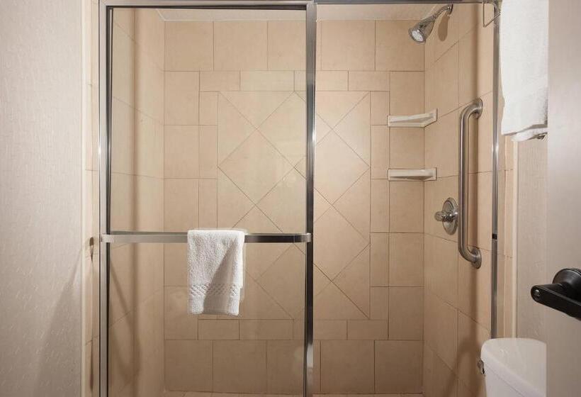 Люкс, Springhill Suites Orlando Airport
