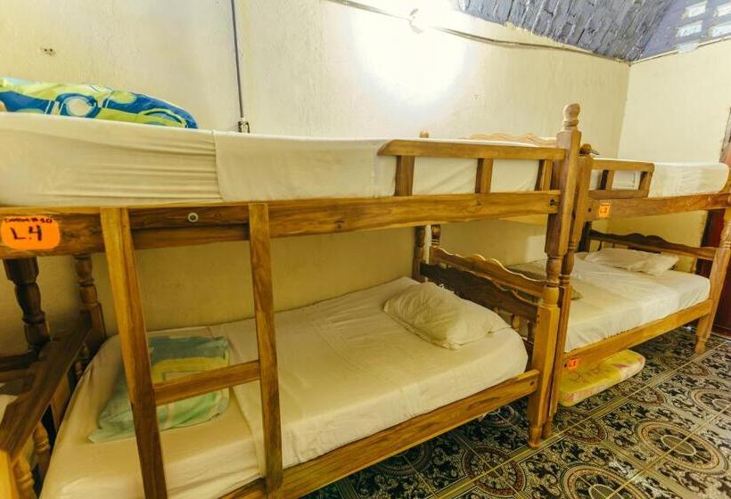 Кровать в Общей Комнате, Hostal Los Chamos