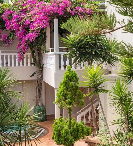 Студия Стандарт, Elotis Suites