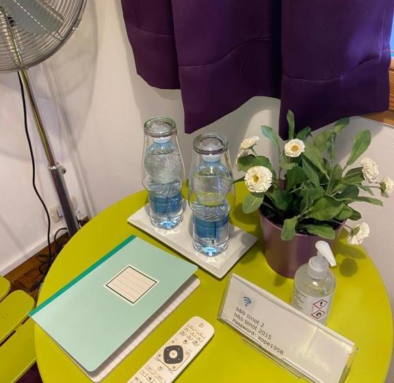 이코노미 룸, B&b Binot