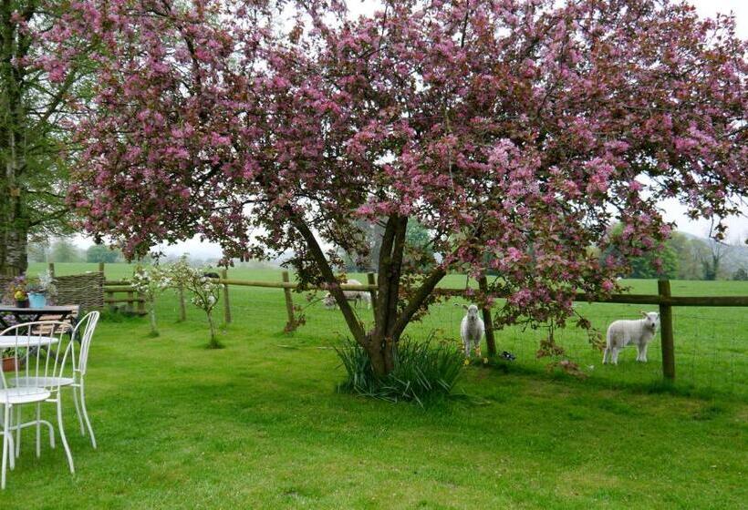 Номер Basic, Yew Tree Farm