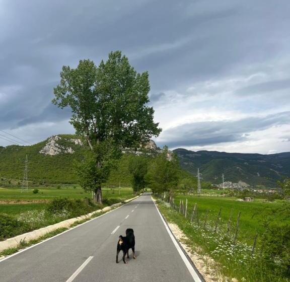 اتاق استاندارد با چشم‌انداز کوهستان, Adriatik Guesthouse