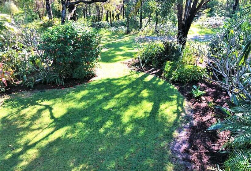 Апартаменты 1 Спальня Нижний Этаж, Hideaway   Tweed Coast Holidays