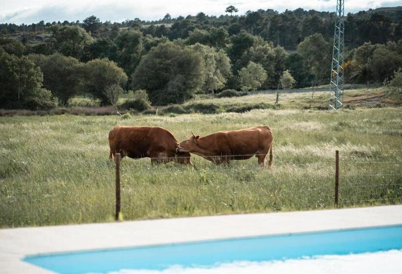 اتاق سوپریور, Quinta Do Rio Noémi