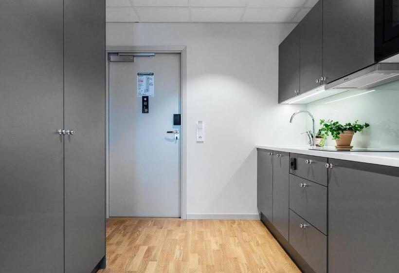 标准工作室, Biz Apartment Bromma