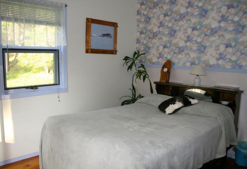 Номер Стандарт Совместная Ванная, Dunphy's Bed And Breakfast