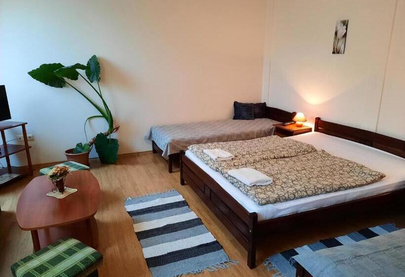 スタンダード４人部屋, Megálló Wellness Panzió