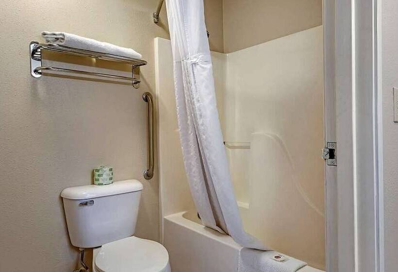 Люкс, Comfort Suites Auburn Hills Detroit