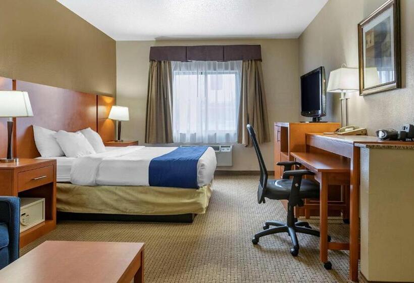 Люкс Адаптированный для Инвалидов, Comfort Suites Auburn Hills Detroit