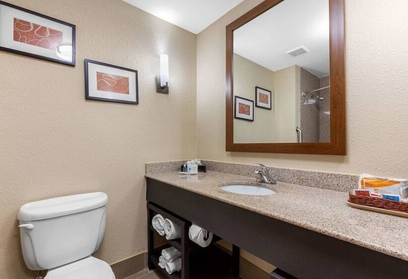Люкс, Comfort Suites Pelham Hoover I 65