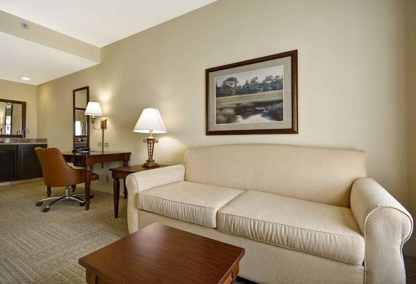 סטודיו סטנדרט, מיטה זוגית, Hampton Inn & Suites Savannah Historic District