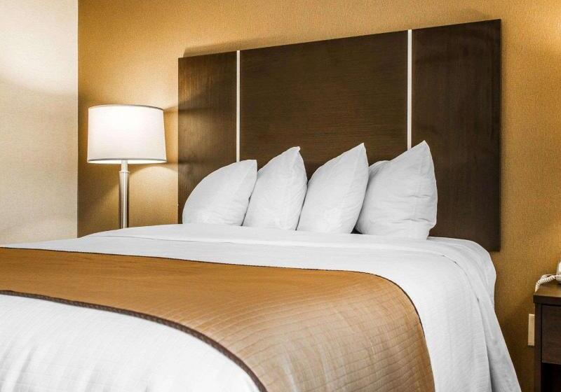 Номер Стандарт Кровать Кинг Адаптированный для Инвалидов, Quality Inn & Suites