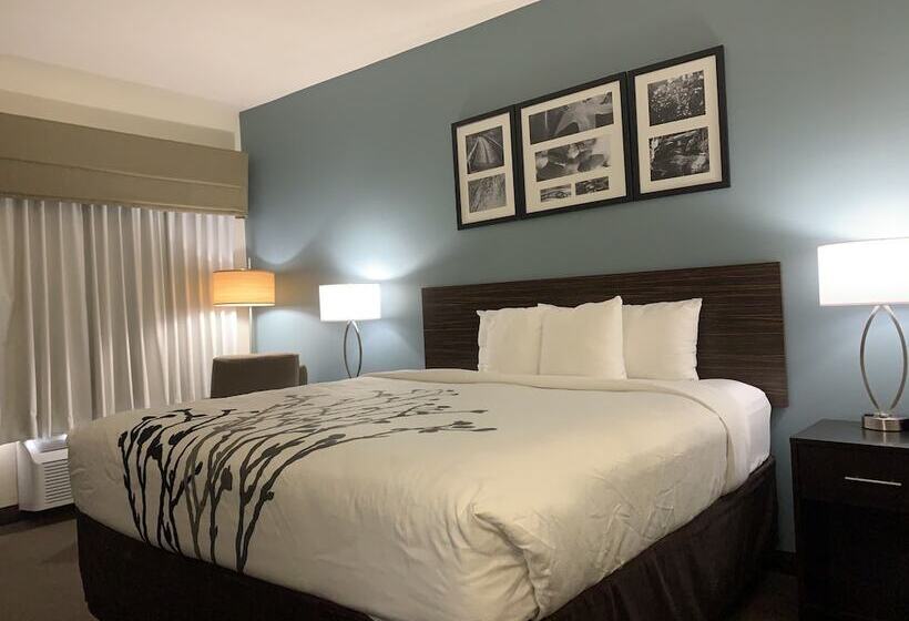 스위트, Spark By Hilton Montgomery Eastchase