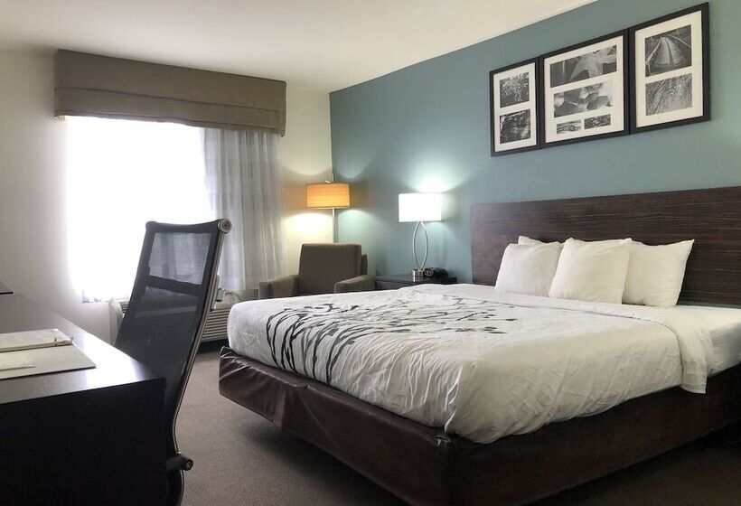 스위트, Spark By Hilton Montgomery Eastchase