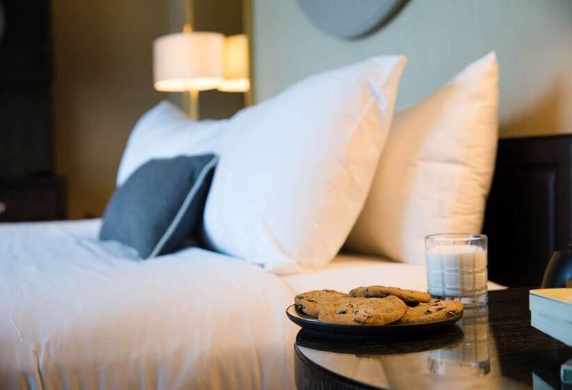 غرفة ديلوكس لذوى الاحتياجات الخاصة, The Royal Sonesta Chicago River North