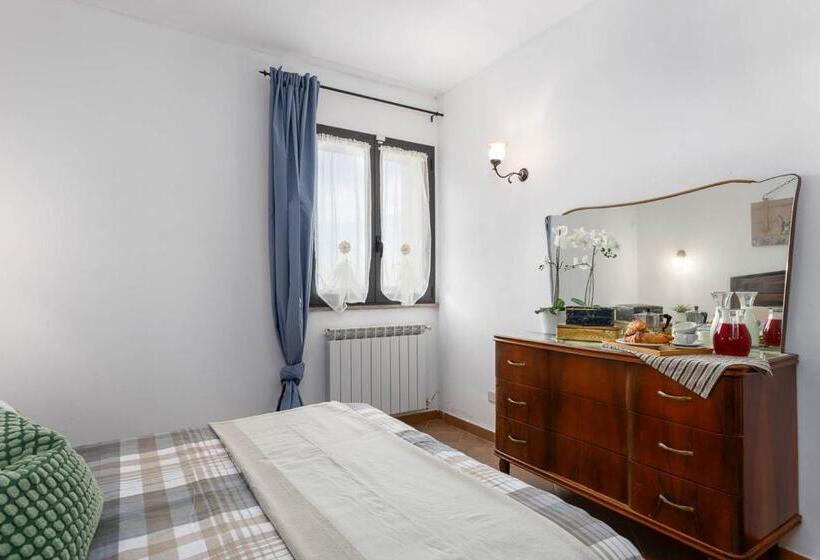 Апартаменты 1 Спальня Нижний Этаж, Agriturismo E Maneggio Poggio Leone