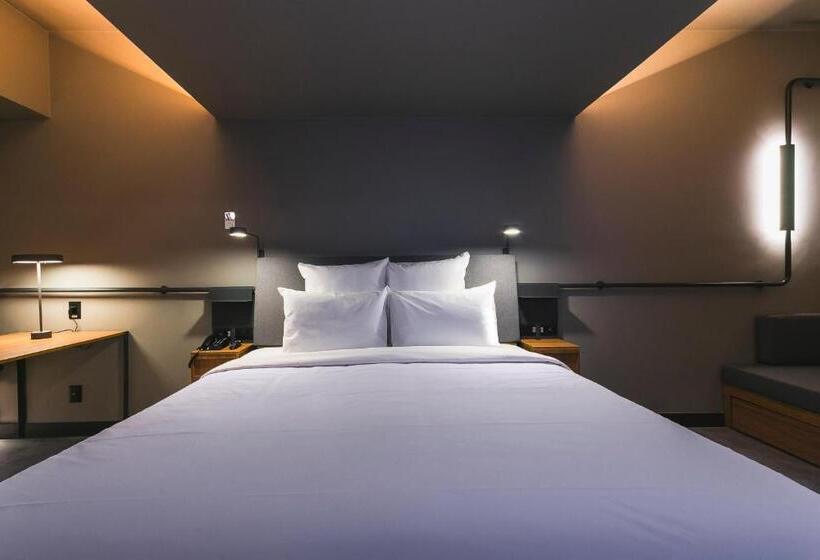 이그제큐티브 룸 킹사이즈 침대, Novotel Lencois Paulista