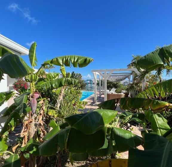 اتاق استاندارد با چشم‌انداز دریا, Tiko Lodge Sxm