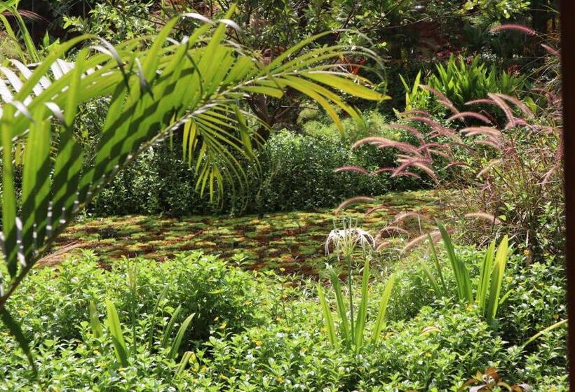 اتاق استاندارد, Mojigao   Eco Resort