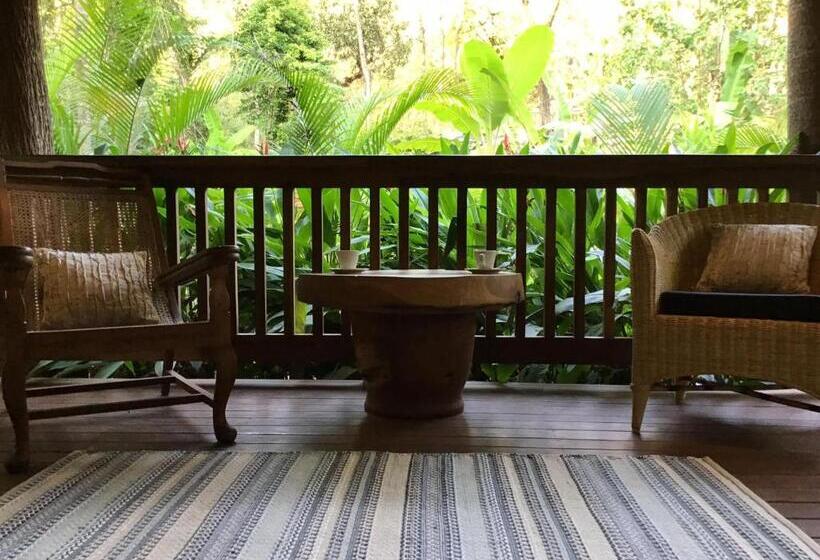 اتاق لوکس با تخت بزرگ, Mojigao   Eco Resort