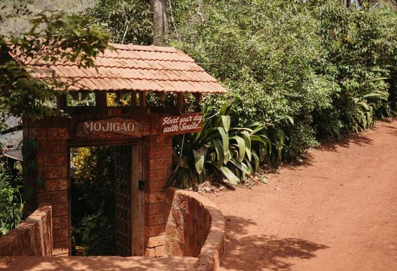 اتاق لوکس با تخت بزرگ, Mojigao   Eco Resort