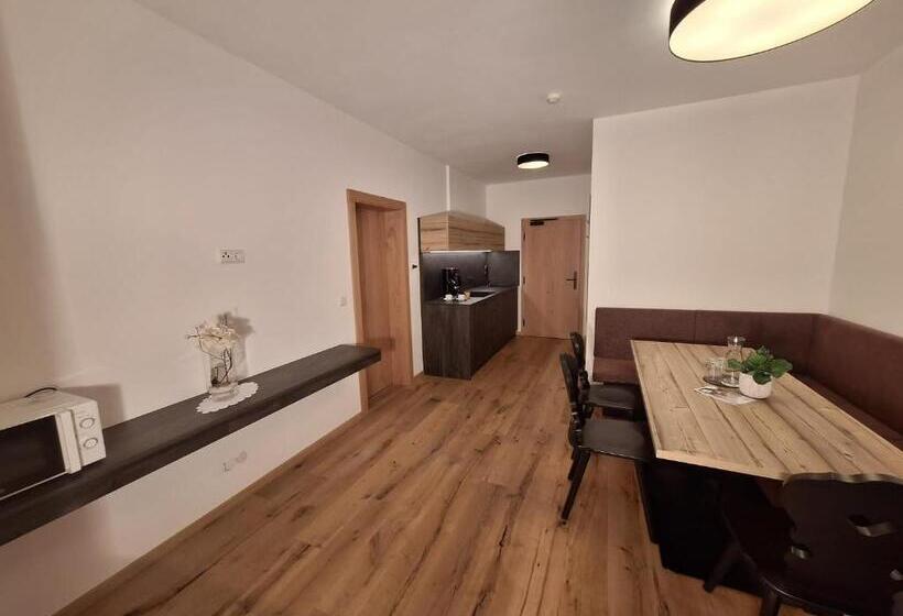 带1个卧室带观景的公寓, Alpenspitz Appartements   Garni   B&b