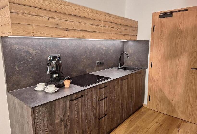 带1个卧室带观景的公寓, Alpenspitz Appartements   Garni   B&b