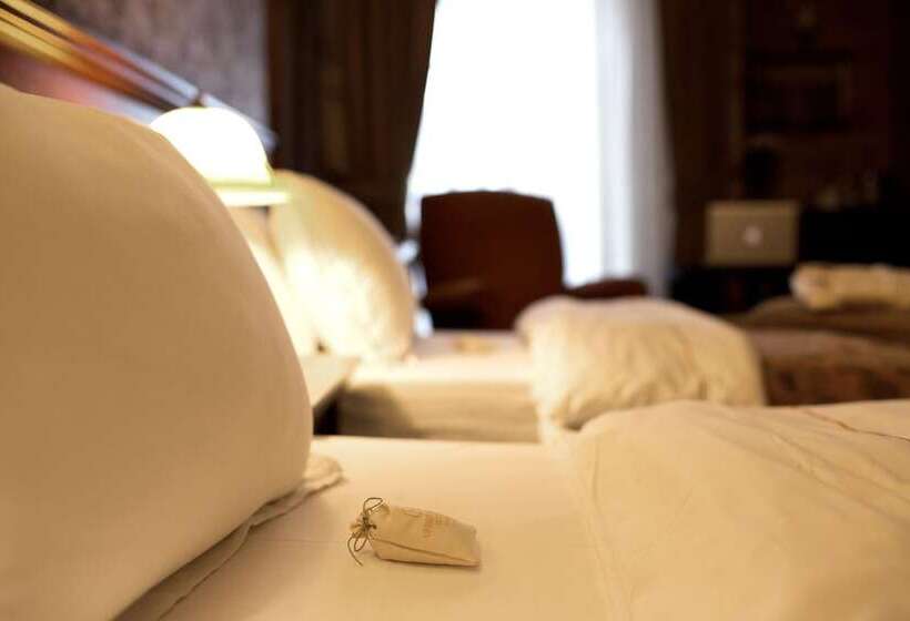 デラックスルーム, Germir Palas Hotel   Special Class