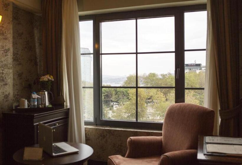 パークビューのデラックスルーム, Germir Palas Hotel   Special Class