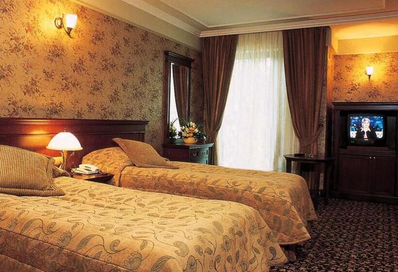パークビューのデラックスルーム, Germir Palas Hotel   Special Class