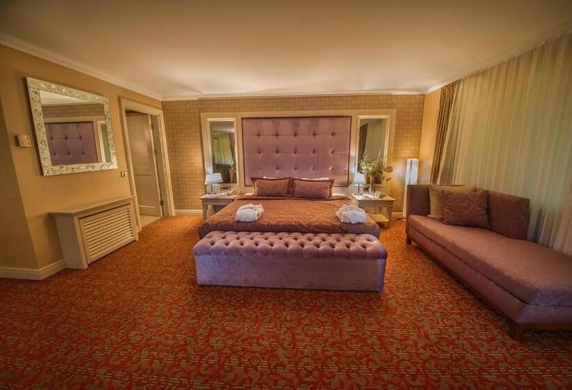 スイート, Dream Hill Business Deluxe Hotel Asia