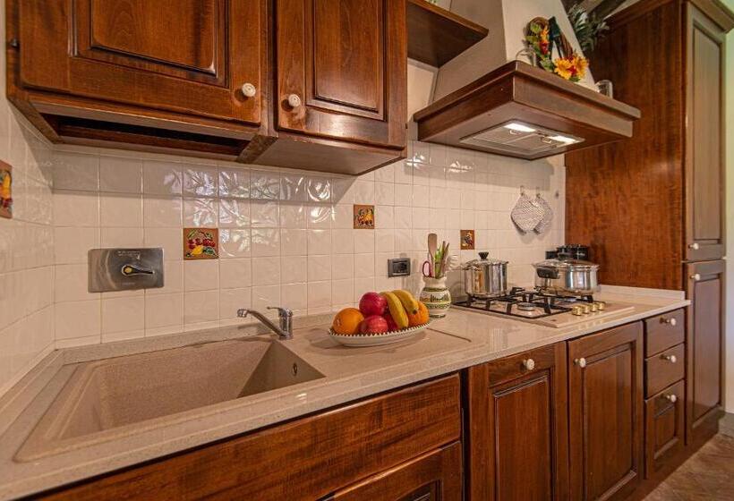 Апартаменты 1 Спальня с Террасой, Agriturismo Casavaiano