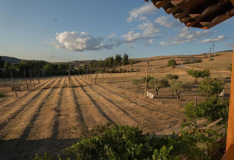 إستوديو قياسى, Montesinho Eco Resort