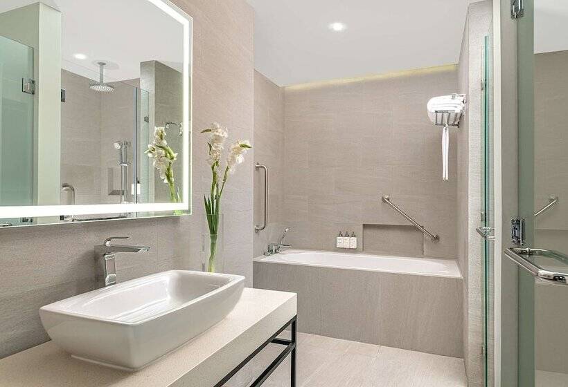 Полулюкс, Park Inn By Radisson Bacolod