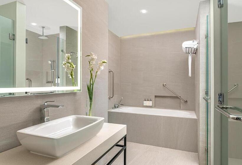Полулюкс, Park Inn By Radisson Bacolod
