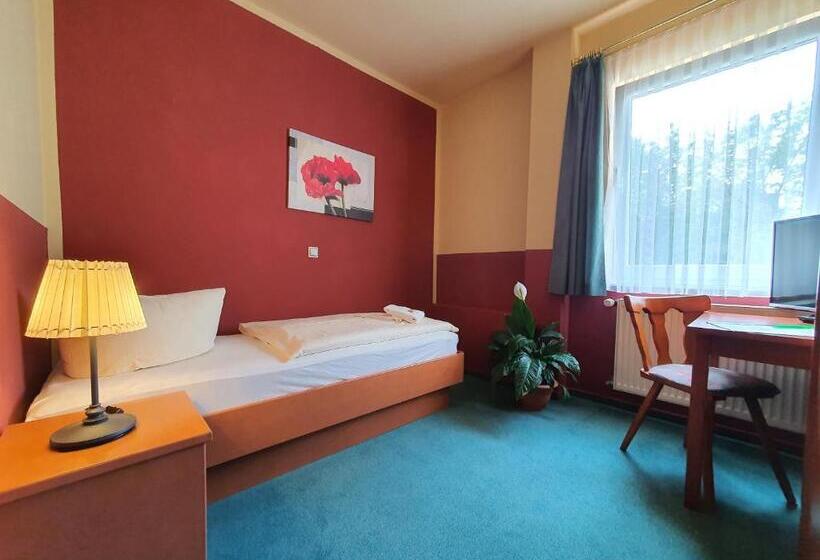 Номер Стандарт Индивидуальный, Altstadthotel Ilsenburg