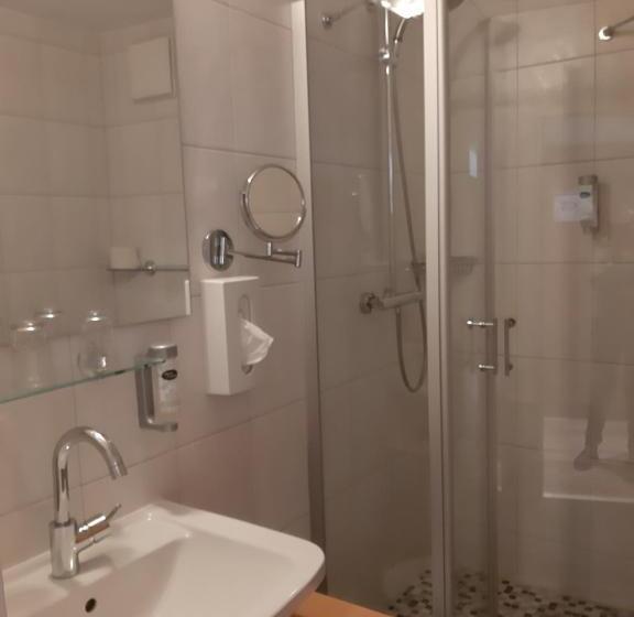 스탠다드 룸, Deva Hotel Alpenglück